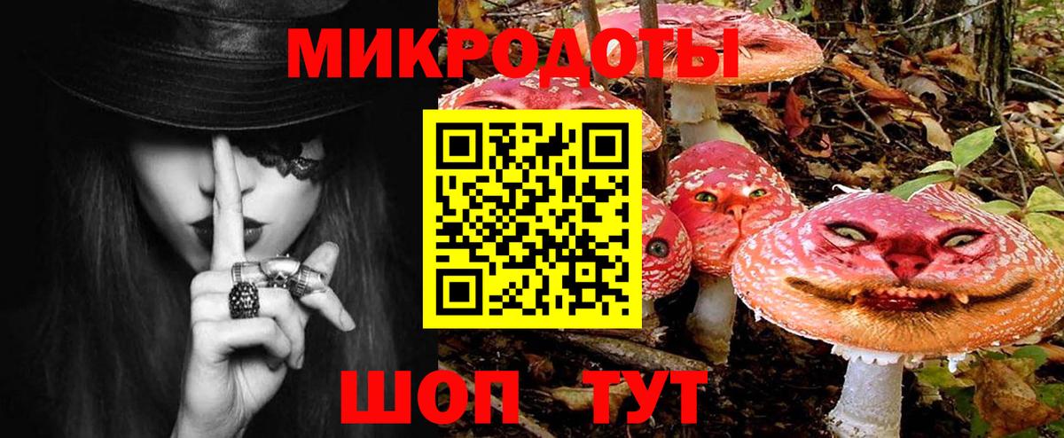 Псилоцибиновые грибы Psilocybe Спасск-Дальний