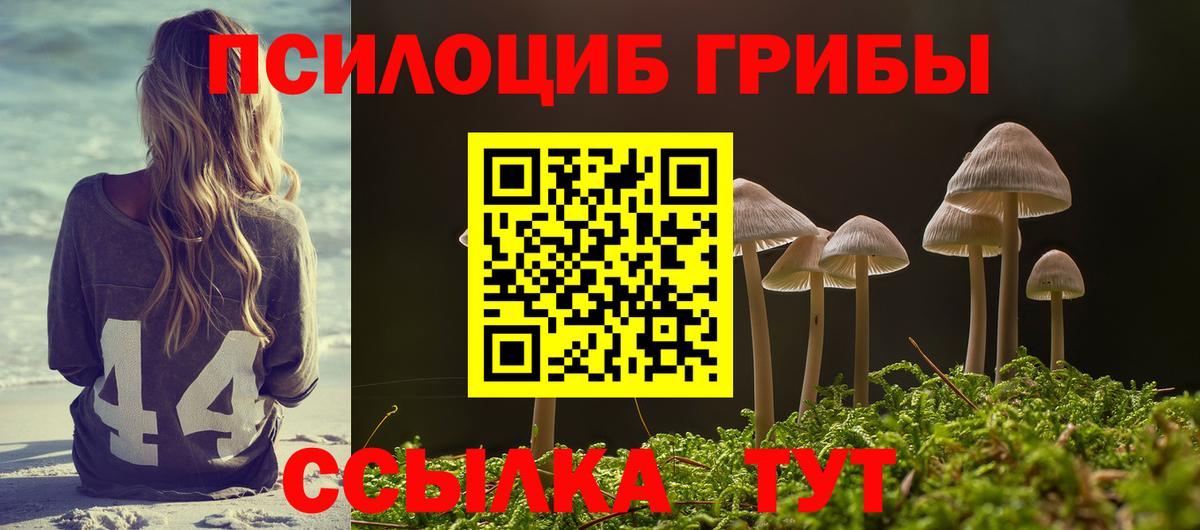 Спасск-Дальний  купить  цена  Вход с VPN  Псилоцибиновые грибы Psilocybine cubensis 